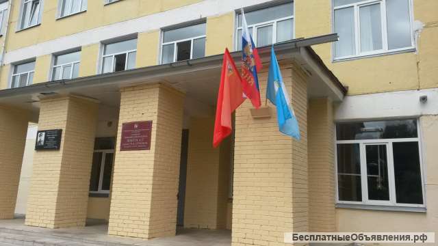 Учитель русского языка в школу