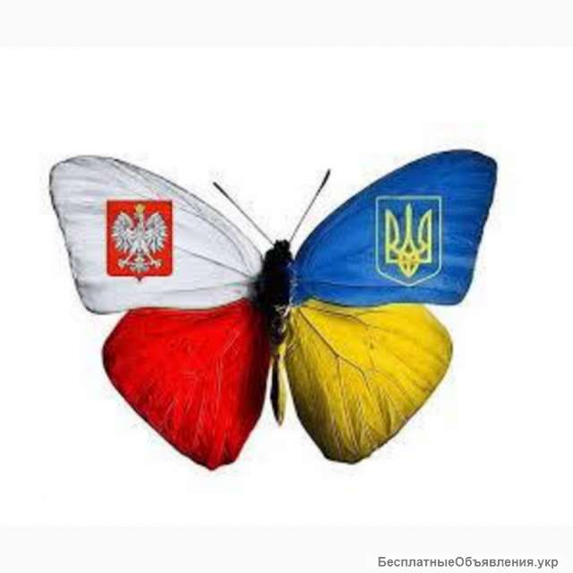 Вакансия СОРТУВАННЯ саджанців клубники в Польщi