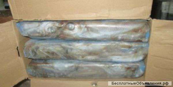 Путассу 25+ не маркерованная