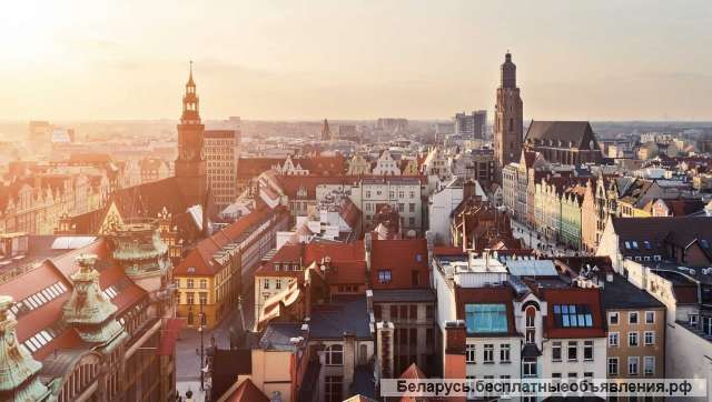 Консультации по миграции в Польшу