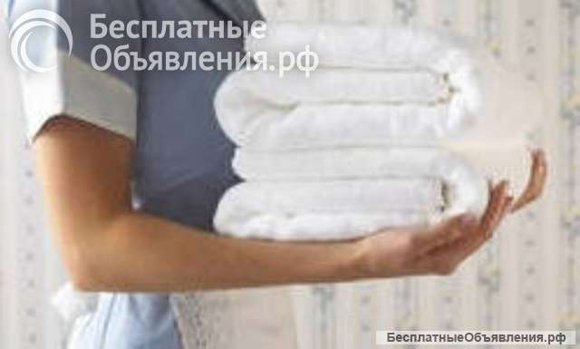 Домработница на 3 дня в неделю приходящая Истринский р-н