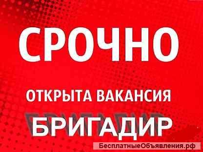Бригадир объекта