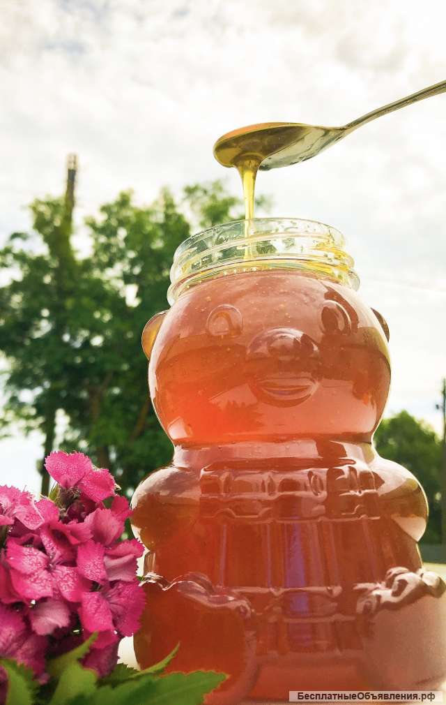 Мёд башкирский