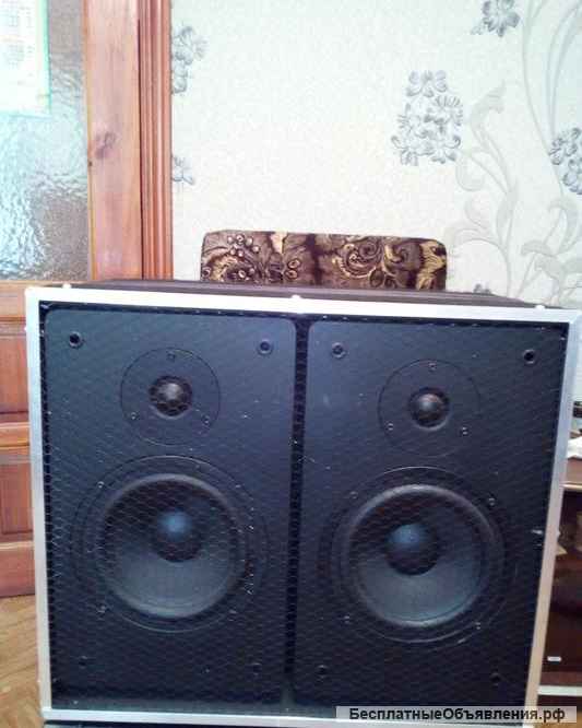 Активные полочники Vigoole 150Wt в отличном тез состоянии