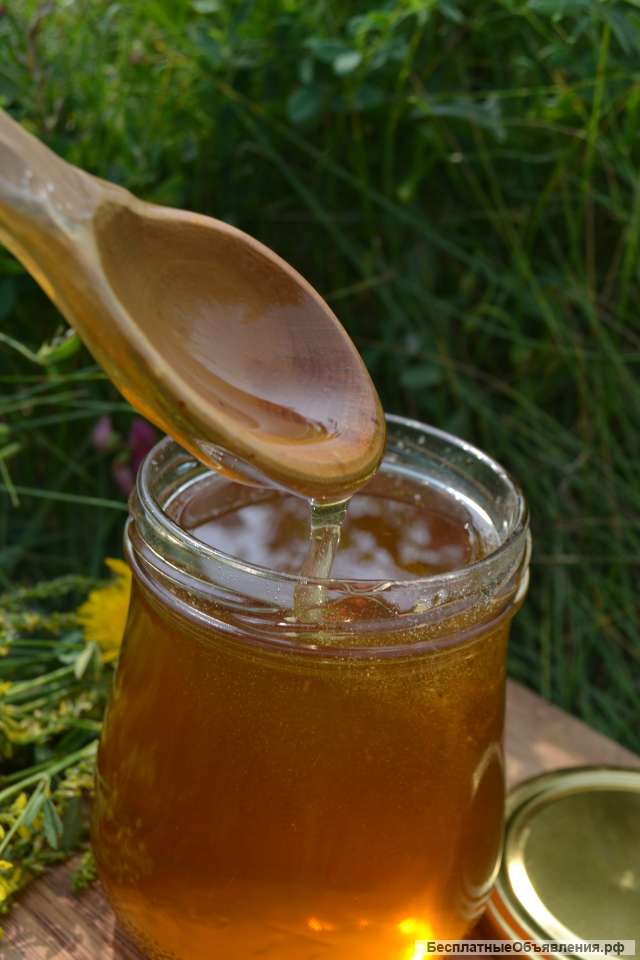 Башкирский Цветочный мёд
