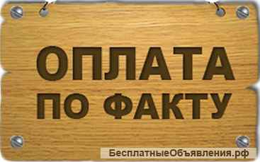 Соковыжималка Пресс для сока, 25л Вилен