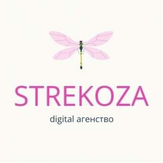Digital агентство Strekoza выполнит весь спектр услуг по продвижению вашего бизнеса в сети