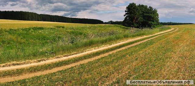 Участок 1.8 га (СНТ, ДНП)