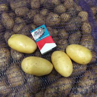 Картофель 5+ | Оптом |По РФ и на экспорт