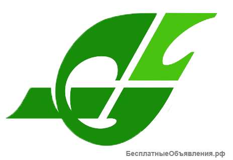 Гринлайн - Центр иностранных языков Татьяны Планкиной