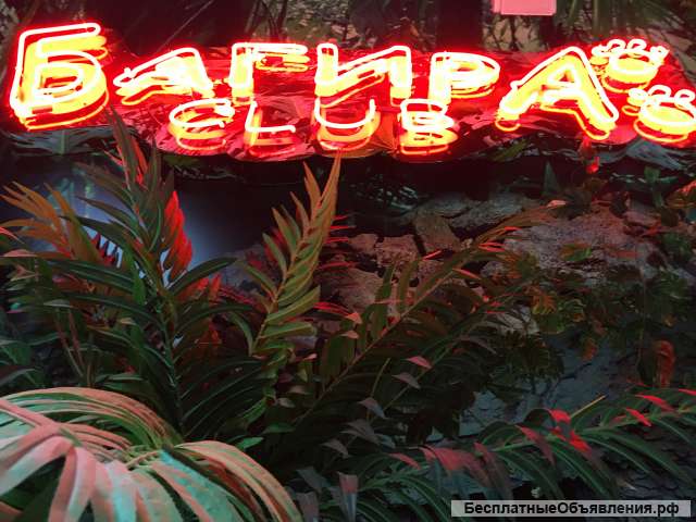 Администратор в лазерный клуб Багира