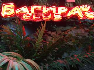 Администратор в лазерный клуб Багира