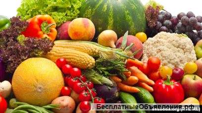 Продавец в продуктовый магазин