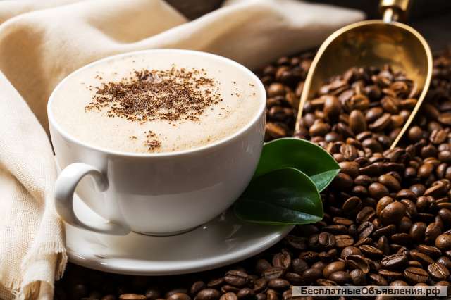 Прибыльная кофейня в центре Краснодара