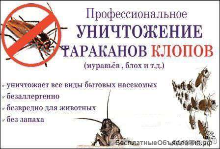 Профессиональное уничтожение насекомых