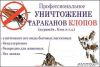 Профессиональное уничтожение насекомых
