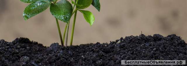 «БиоГрунт» - грунт для огорода с доставкой по Москве и области