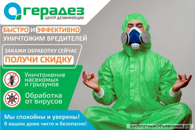 Уничтожение насекомых тараканов клопов