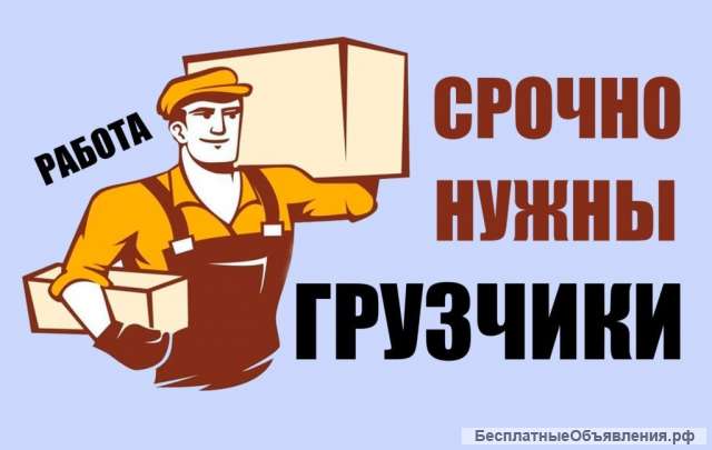 Грузчики на завод Владимировская область