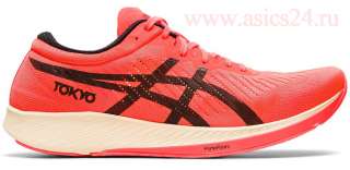 Кроссовки, шиповки и одежда asics mizuno adidas nike hoka saucony brooks