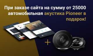 При заказе сайта автомобильная акустика Pioneer в подарок