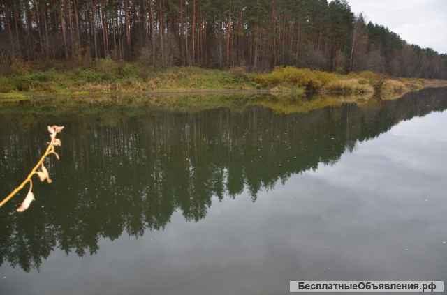 Усадьба на реке Угра