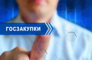 Заявка по 44-ФЗ, 223-ФЗ (Тендерное сопровождение)