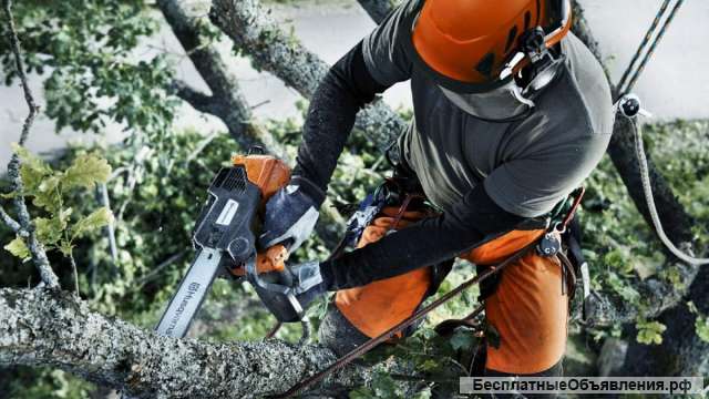 Бригада альпинистов проводит перечень работ