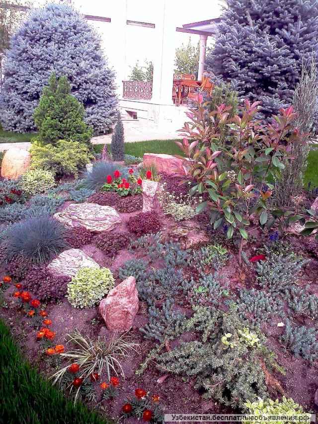 Ландшафтный дизайнер (мастер)