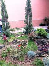 Ландшафтный дизайнер (мастер)