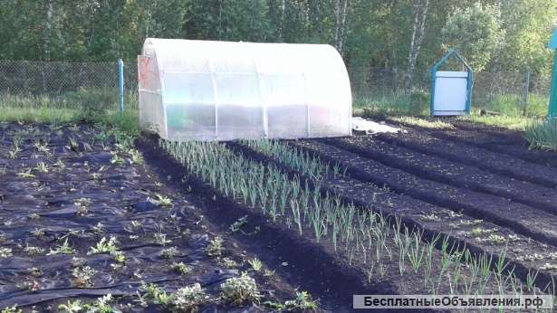 Баня, колодец, 13 соток