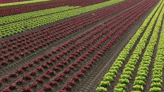 Работа в Австралии