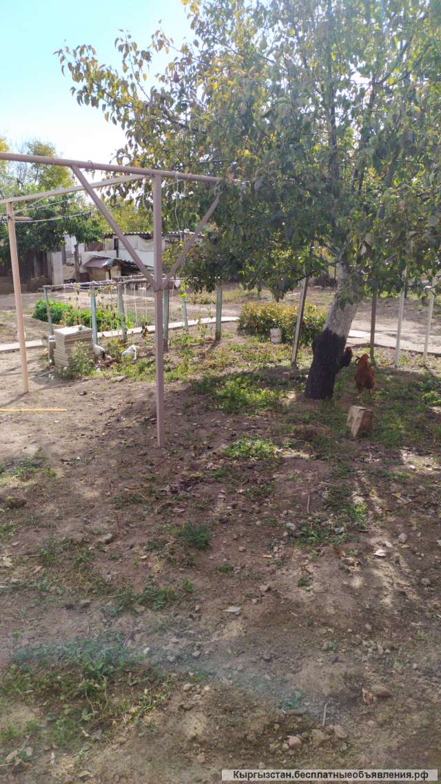 Дом на Иссык-куле