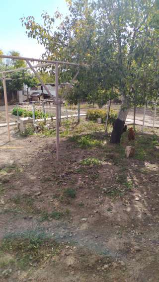 Дом на Иссык-куле