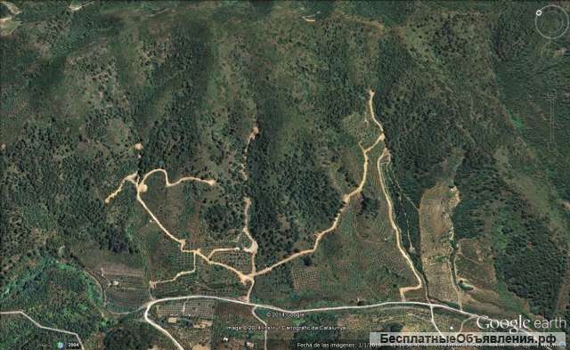 Легальное выращивание конопли