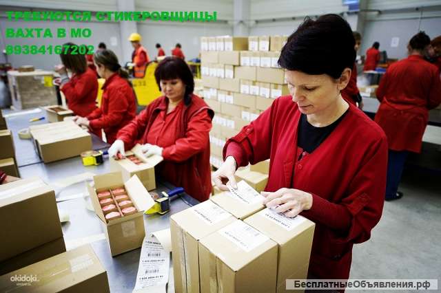 Стикеровщицы с проживанием