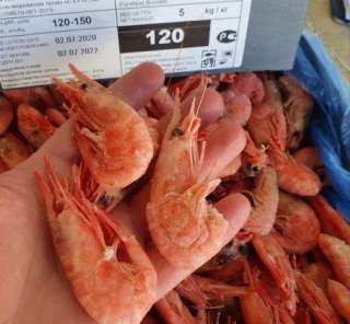 Креветки улов 10.2020г. северные от 280руб/кг