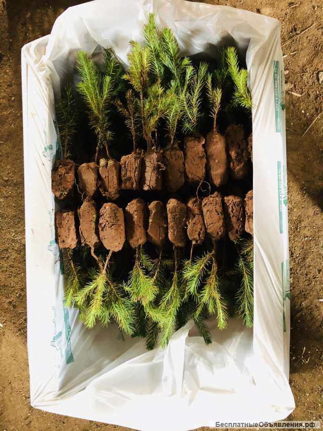 Криатив и ландшафт