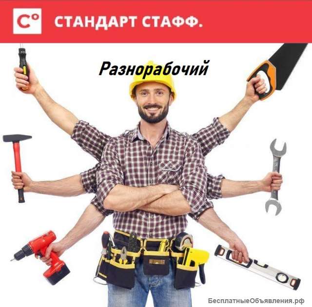Разнорабочие на производство жвачки
