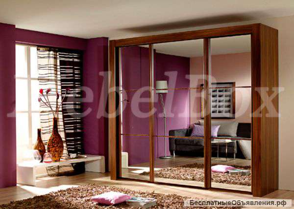 Двери-купе зеркало