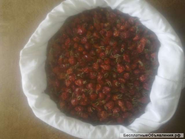 Шиповник сухой плоды