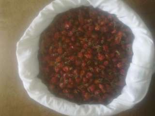 Шиповник сухой плоды