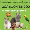 Товары для домашних животных