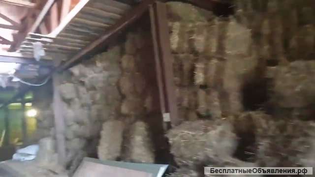 Производство каркасов для домов