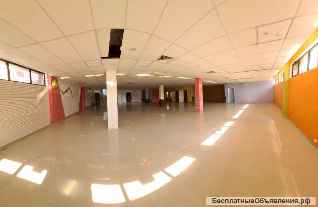 Торговое помещение 433 кв.м.