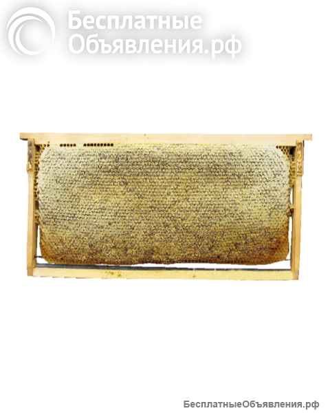 Ярославский мед и башкирский мед
