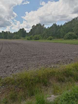 Участок 39 соток Л.П.Х.