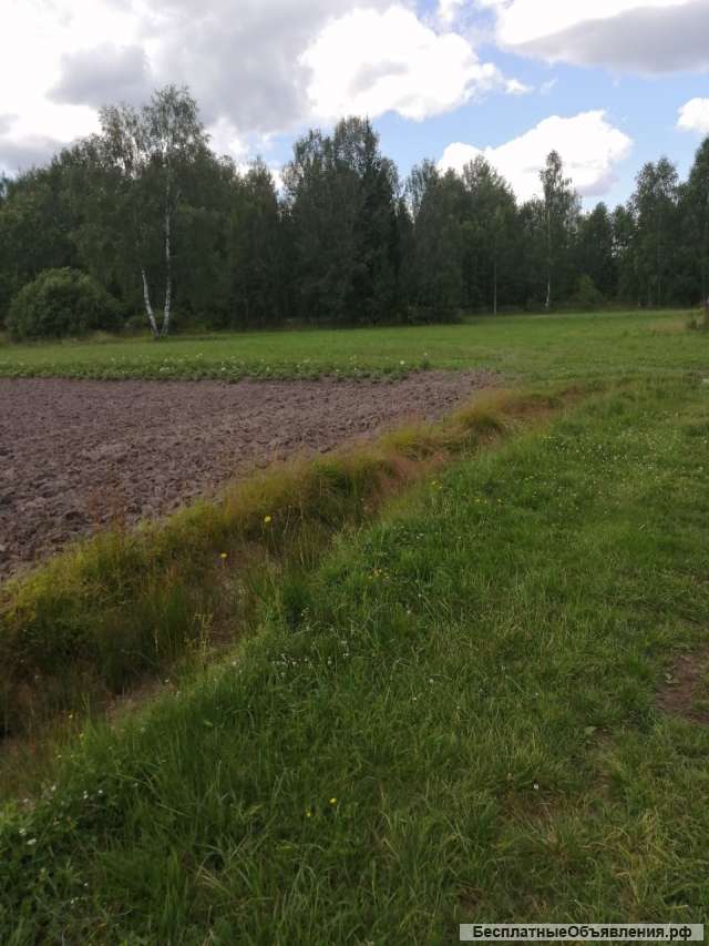 Участок 39 соток Л.П.Х.