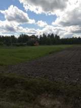 Участок 39 соток Л.П.Х.