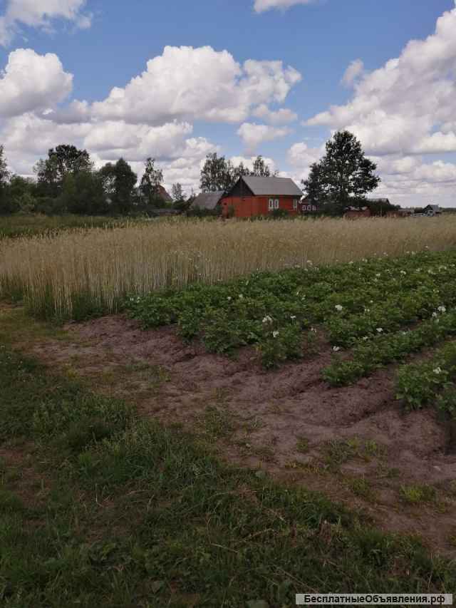 Участок 39 соток Л.П.Х.